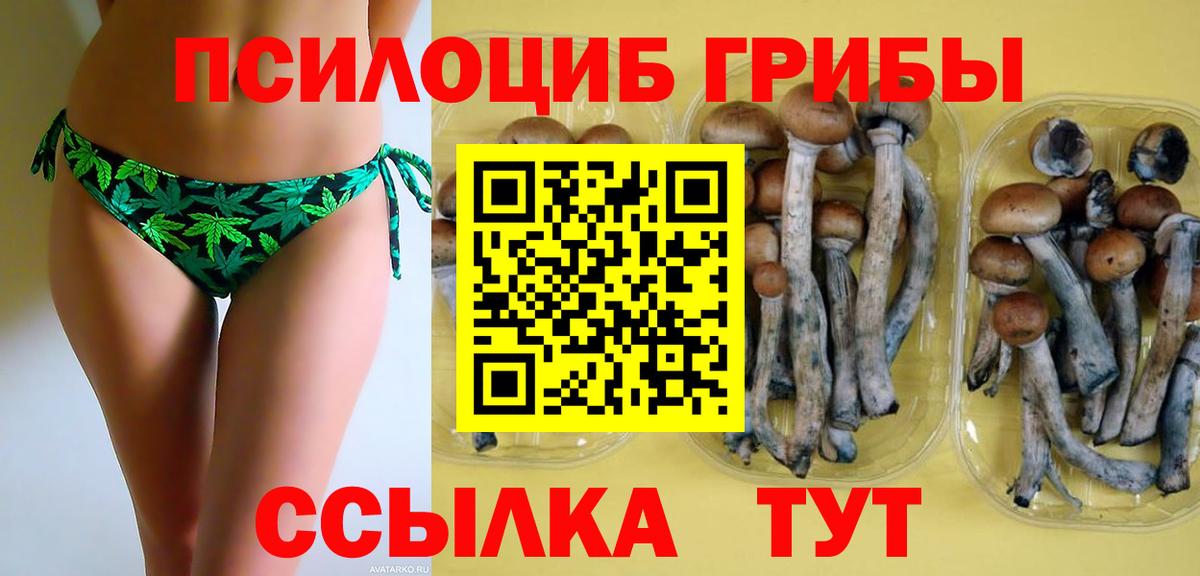 Псилоцибиновые грибы Magic Shrooms Саратов