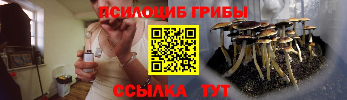Псилоцибиновые грибы MAGIC MUSHROOMS  Галлюциногенные грибы GOLDEN TEACHER  Саратов  Вход с VPN 